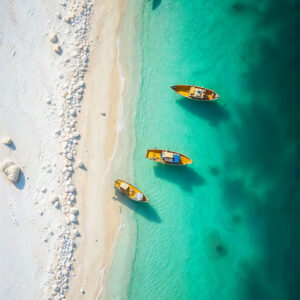 Ressourcement à Zanzibar